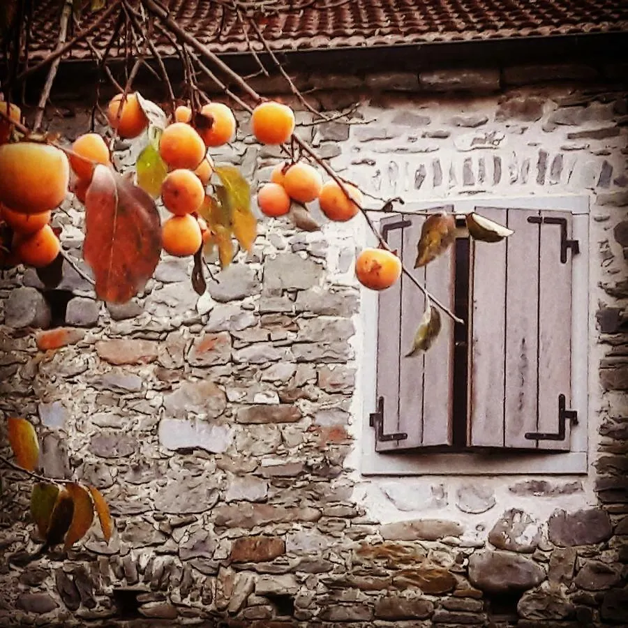 Bed & Breakfast Ai Chiosi Affittacamere Pontremoli